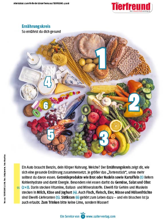 Arbeitsblätter Gesunde Ernährung-3