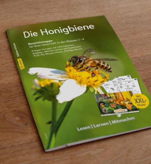 Bausteinmappe: Die Honigbiene